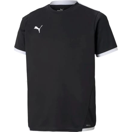 Kinder Sportshirt Puma Team Liga