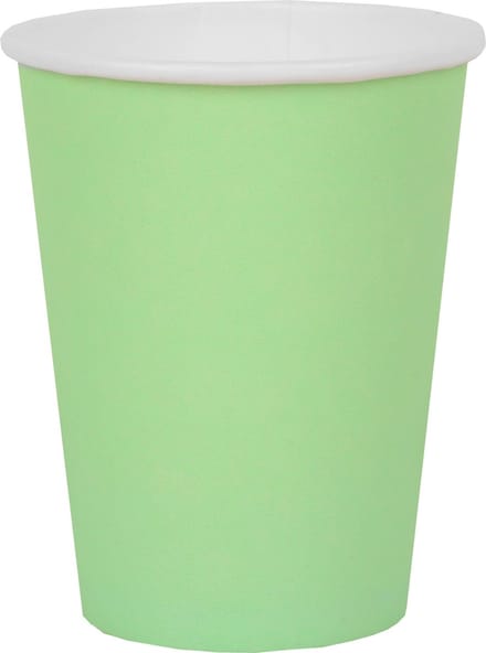 Santex feest/verjaardag bekertjes - 10x stuks - karton - mintgroen - 270 ml