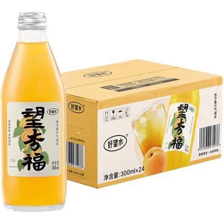 Hope water sprankelende abrikozensapdrank 300 ml × 24