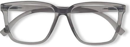 Ear2Ear 21710 Leesbril Newton - sterkte +2.00 - transparant grijs