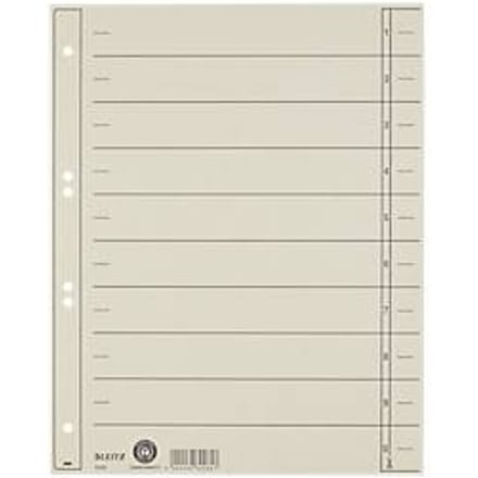 Leitz Staffeltabblad Karton - Beschrijfbare Tabs, 2/4-rings - Voor Ordners en Ringbanden - Grijs