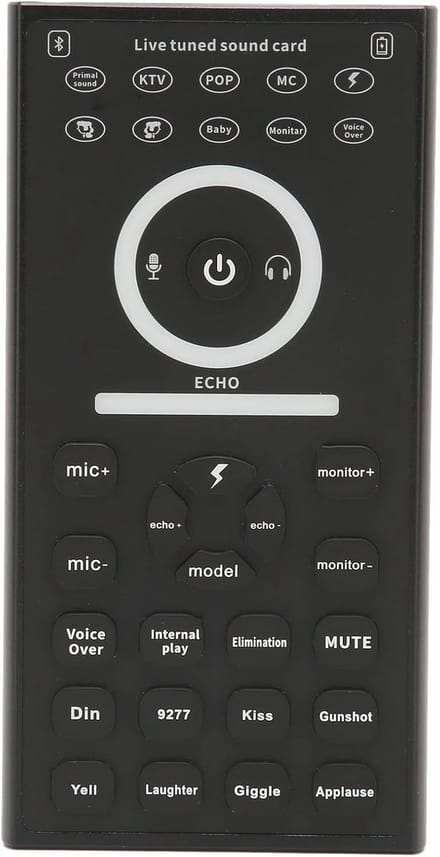 Draagbare Mini Stemvervormer voor Karaoke en Streaming