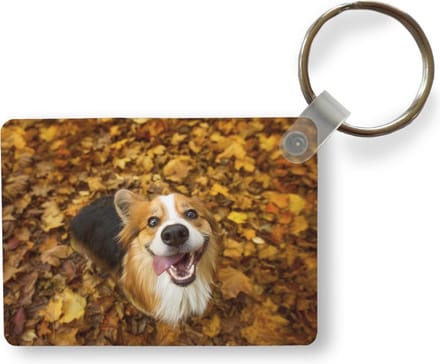 Sleutelhanger - Corgi in de herfst - Uitdeelcadeautjes - Plastic