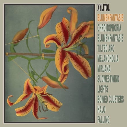 Xylitol - Blumenfantasie (LP)