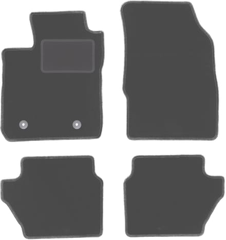 Grafiet automatten voor: Ford EcoSport MK2 crossover (2012-2017)