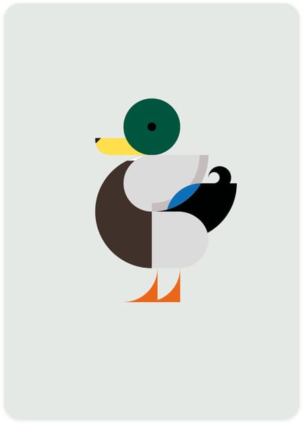 Eendje - postcard with Mallard - set of 4 postcards - waterfowls