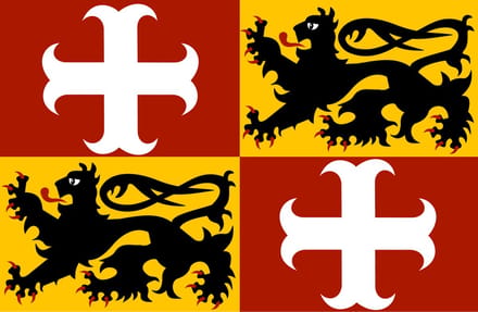 Vlag Aalter 200x300cm