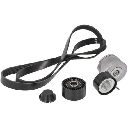 Schaeffler Ina V-snaar set (met rollen) INA 529 0012 10