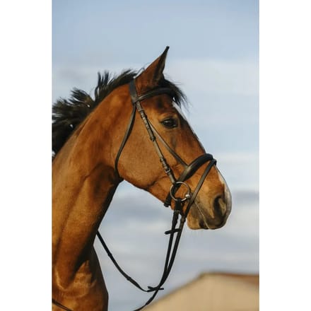 Gecombineerd hoofdstel met neusriem Riding World