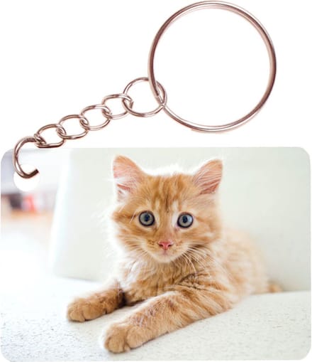 Sleutelhanger 6x4cm - Rode Kitten