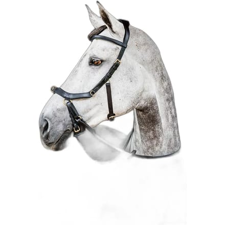 Horseware Inglesa Micklem 2 Multi Hoofdstellen Zwart Cob