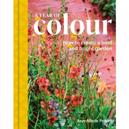 A Year Of Colour - Ann-Marie Powell