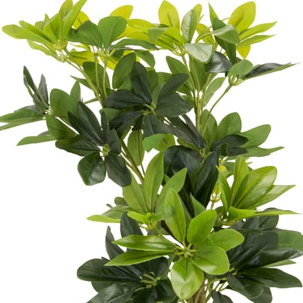 Kunstplant / Kunstboom SCHEFFLERA groen hjh OFFICE