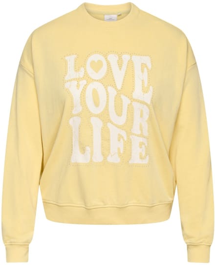 ONLY Carmakoma Sweatshirt CARSANDY Sweatshirt
