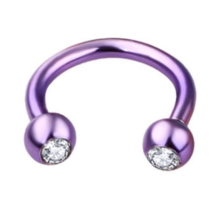 Paars Met Steentjes - Neus / Septum / Helix Piercing