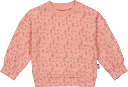 4PRESIDENT Sweater meisjes - Toucan AOP - Maat 56 - Meisjes trui