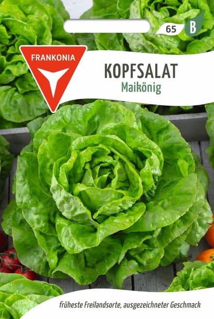 Sla, May King - Groentezaden, Slazaden