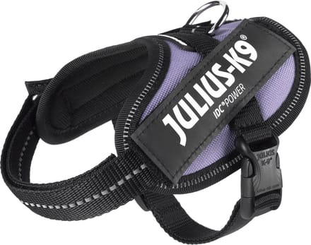 Julius-K9 IDC®Powertuig, 2XS - Baby2, paars