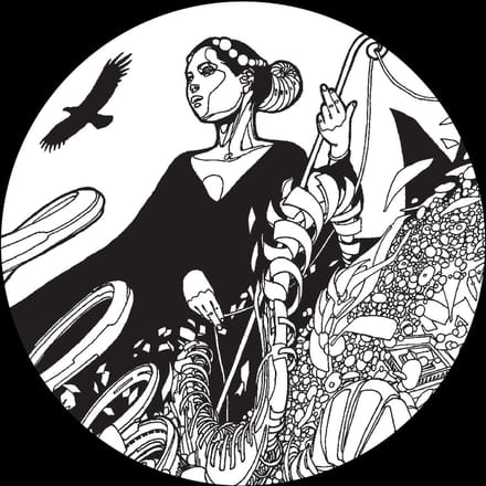 Fhloston Paradigm - Cosmosis Vol. 1 (12" Single)