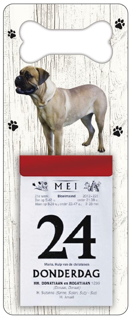 Scheurkalender 2027 Hond: Bulmastiff