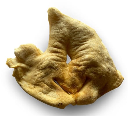 Lamsneus 50 stuks Natuurlijke hondensnack