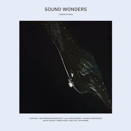 Various Artists - Sound Wonders: A Series of Epics (LP) (Limited Edition)