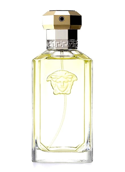 Eau de Toilette - Versace - Dreamer - 100ml - Heren - Fris parfum