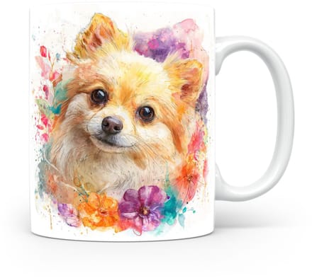 Beker Dwergspitz (Pomeranian)