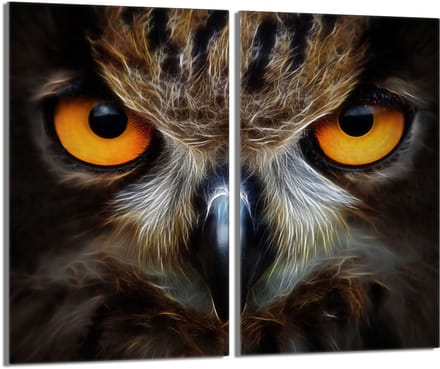 TMK ArtDeko - Snijplank - Beschermplaat - 2x30x52cm - Sowa
