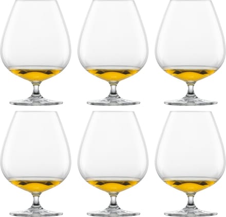 Schott Zwiesel Bar Special Cognacglas XXL 45 - 0.88 Ltr - set van 6