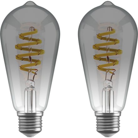Hombli Smart Bulb Smokey ST64 2-pack