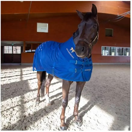 Acupressuurmat voor de rug Accuhorsemat