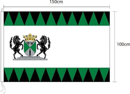 Vlag van Emmen 100 x 150cm