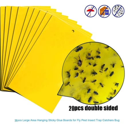20 stuks Sterke Vliegenvallen Bugs Kleverig Bord Vangen Bladluis Insecten Ongediertemoordenaar 20pcs white