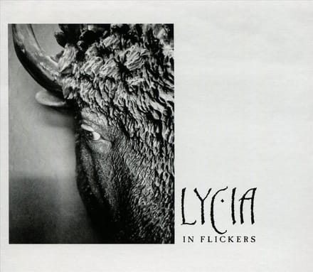 In Flickers - Lycia