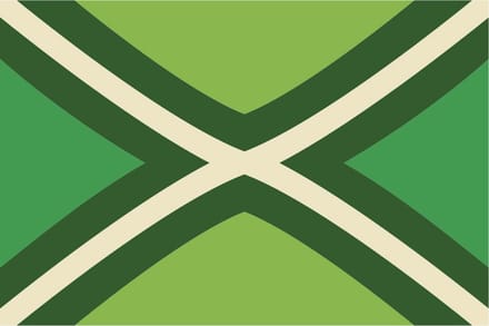 Bellatio design Vlag Achterhoek - 90 x 150 cm - Achterhoekse Vlag