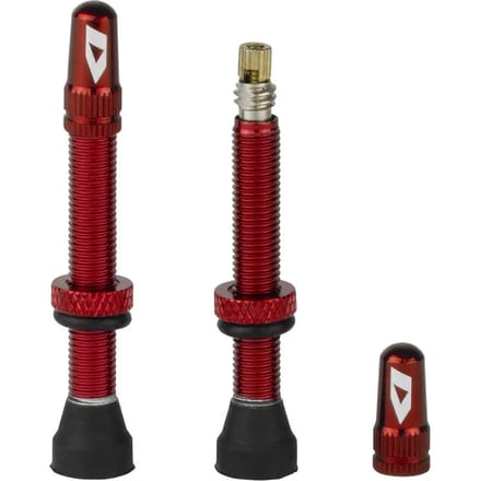 Tubeless ventiel Ikon