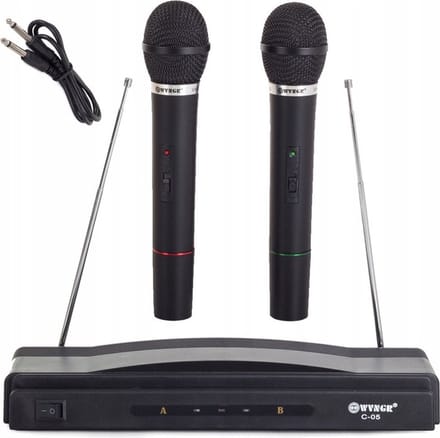 VERK GROUP Karaokeset met 2 draadloze microfoons - Voor feesten en bruiloften