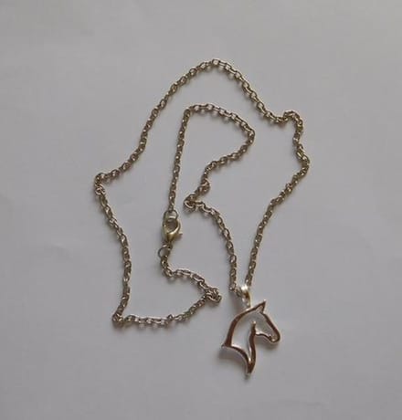 Ketting met hanger Paardenhoofd.