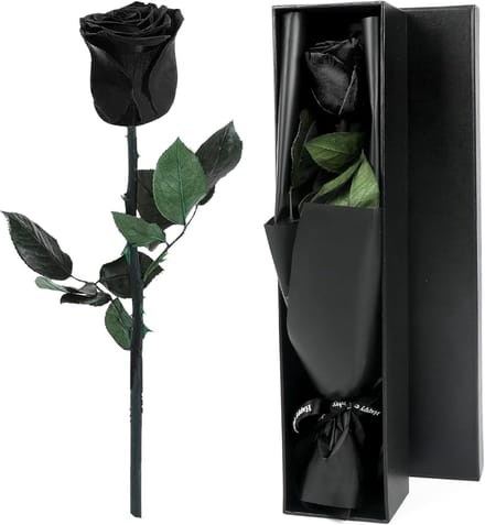 Eternal Black Rozen - Geconserveerde Rozenbloemen in Luxe Doos voor Vrouwen
