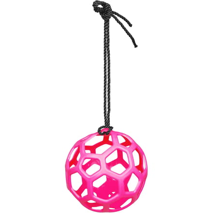 Waldhausen Hooibal - Stalbenodigdheden - Pink