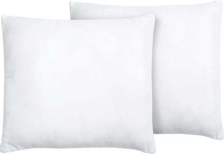 ERRIGAL - Kussen set van 2 - Wit - 80 x 80 cm - Microvezels
