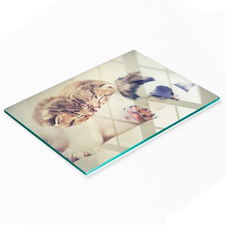 Decoratieve serveerplank van glas met katten- en hondenmotief, 80x52 cm