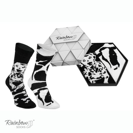 Rainbow Socks - Dalmatiër en Koe Motief - Zwart en Wit - Maat 41-46