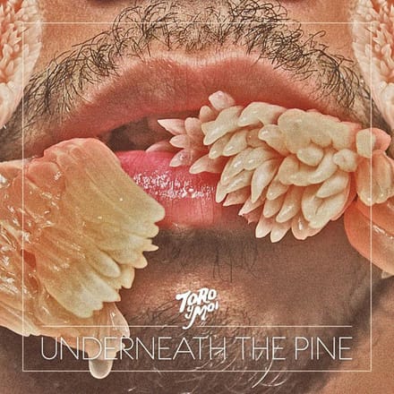 Underneath The Pine - Toro Y Moi
