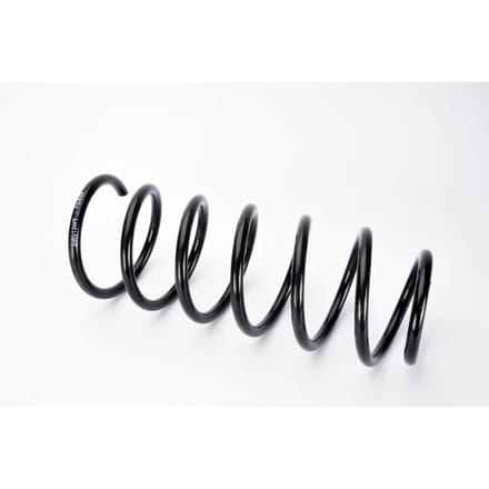 Chassisveer MAGNUM TECHNOLOGY SW013MT