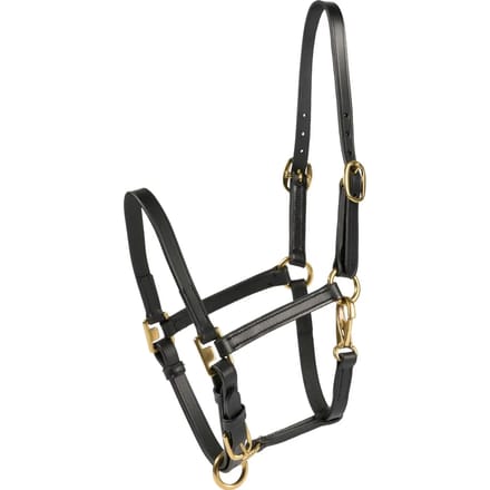 Halsband voor paard HorseGuard