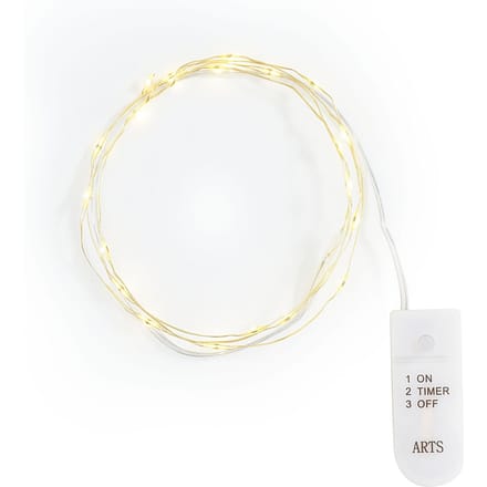 Micro LED snoer lampjes, met timer, goudkleurige draad, 20 LED's