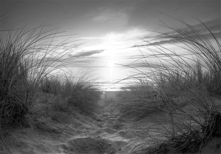 Fotobehang - beach (black and white).