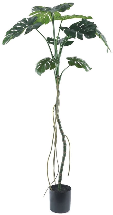 HomeBound by KY | Kunstplant Monstera op stam 180cm | kunstplant